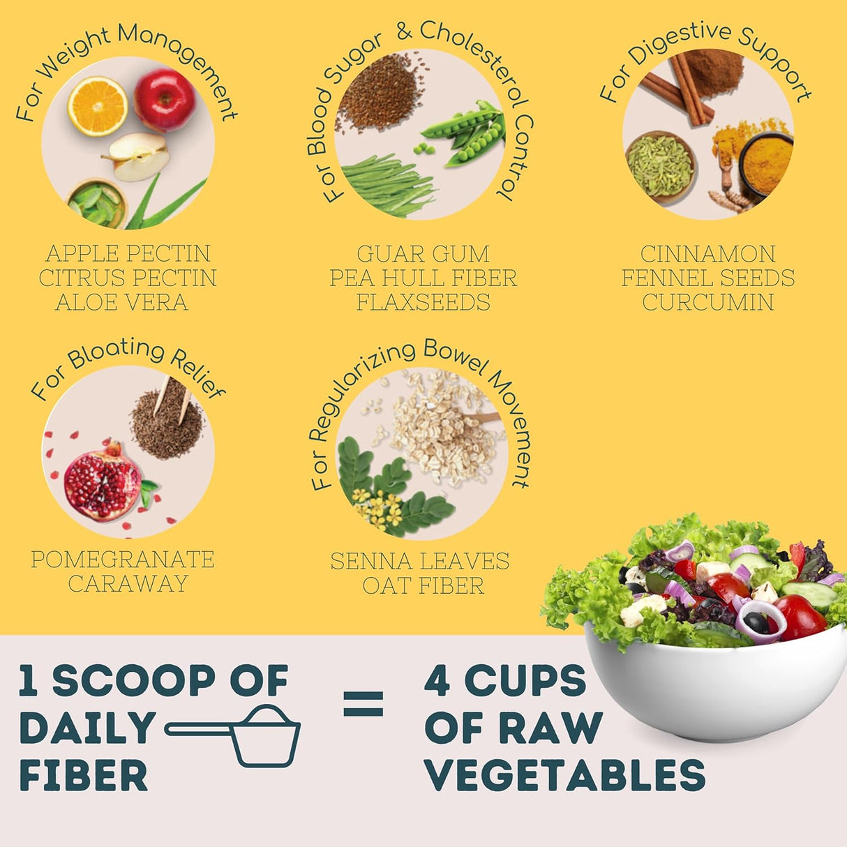 Wellbeing Nutrition Daily Fiber