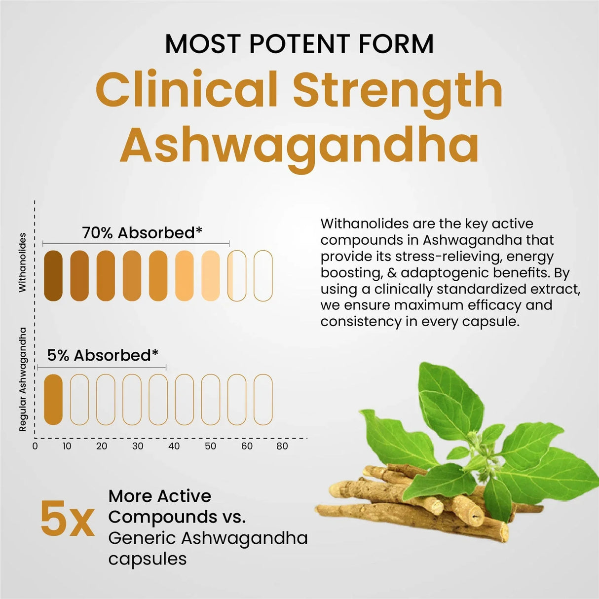 Vlado's Himalayan Organics, Ashwagandha 10% Withanolides 600mg, High Potency Ayurvedic Supplement - 30 Capsules
