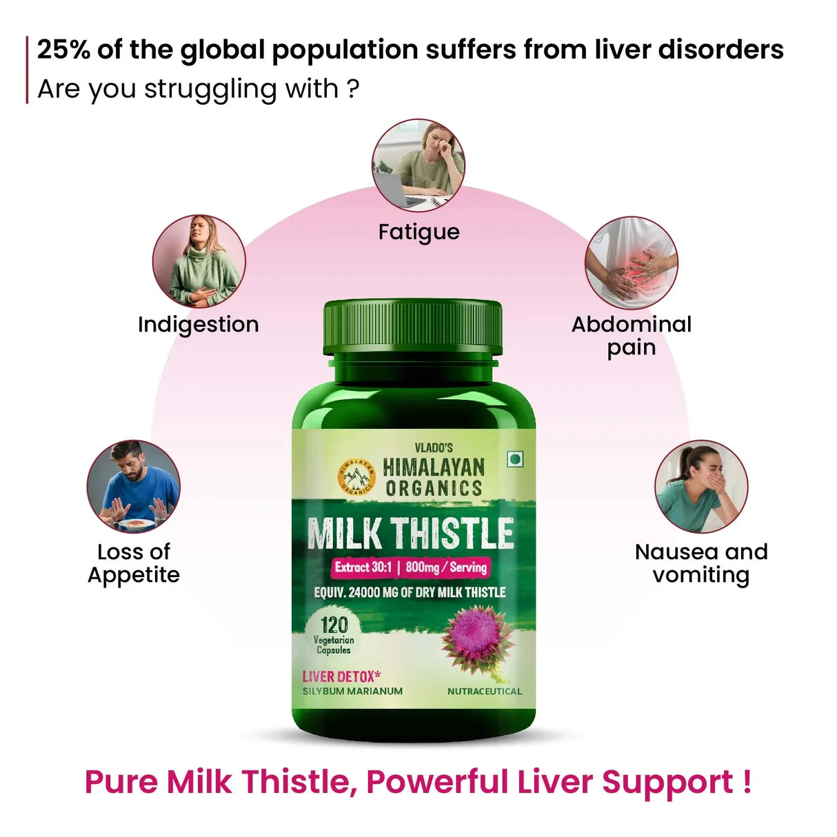 Himalayan Organics, Milk Thistle Extract, 800mg