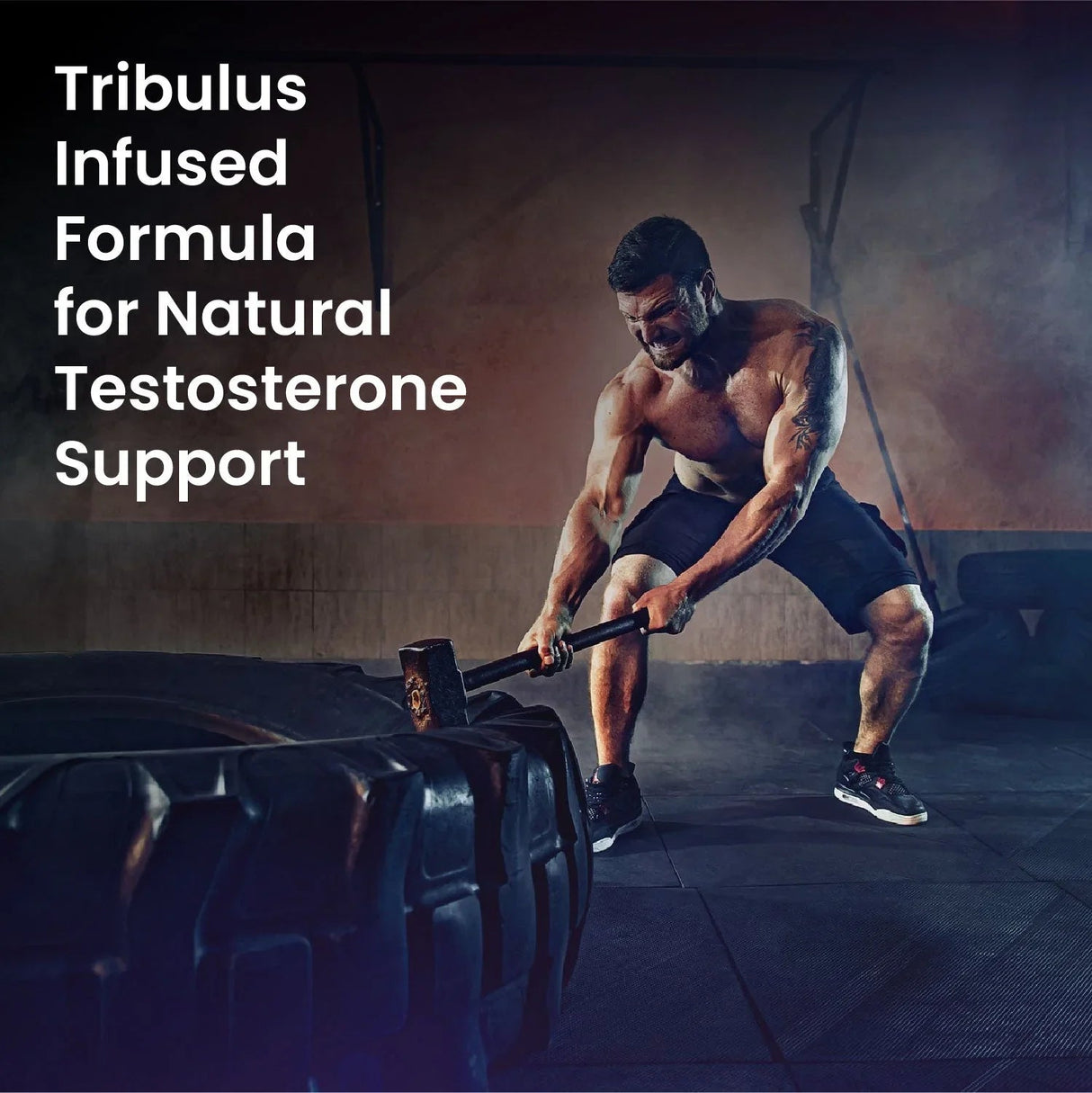 Vlado's Himalayan Organics, Organic Multivitamins with Ashwagandha, Zinc & Turmeric, Immunity & Stamina Support - 60 Veg Tablets