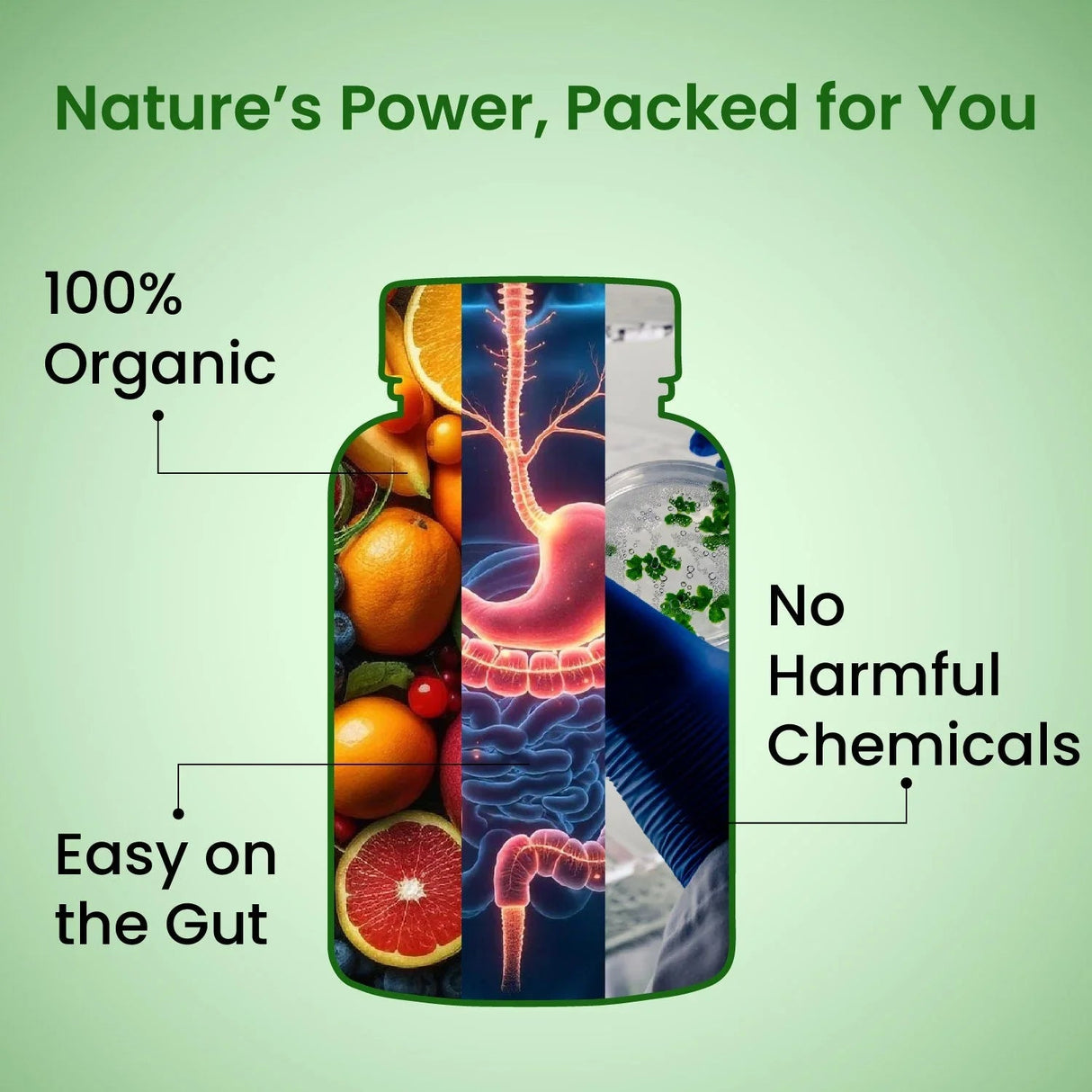 Vlado's Himalayan Organics, Organic Multivitamins with Ashwagandha, Zinc & Turmeric, Immunity & Stamina Support - 60 Veg Tablets