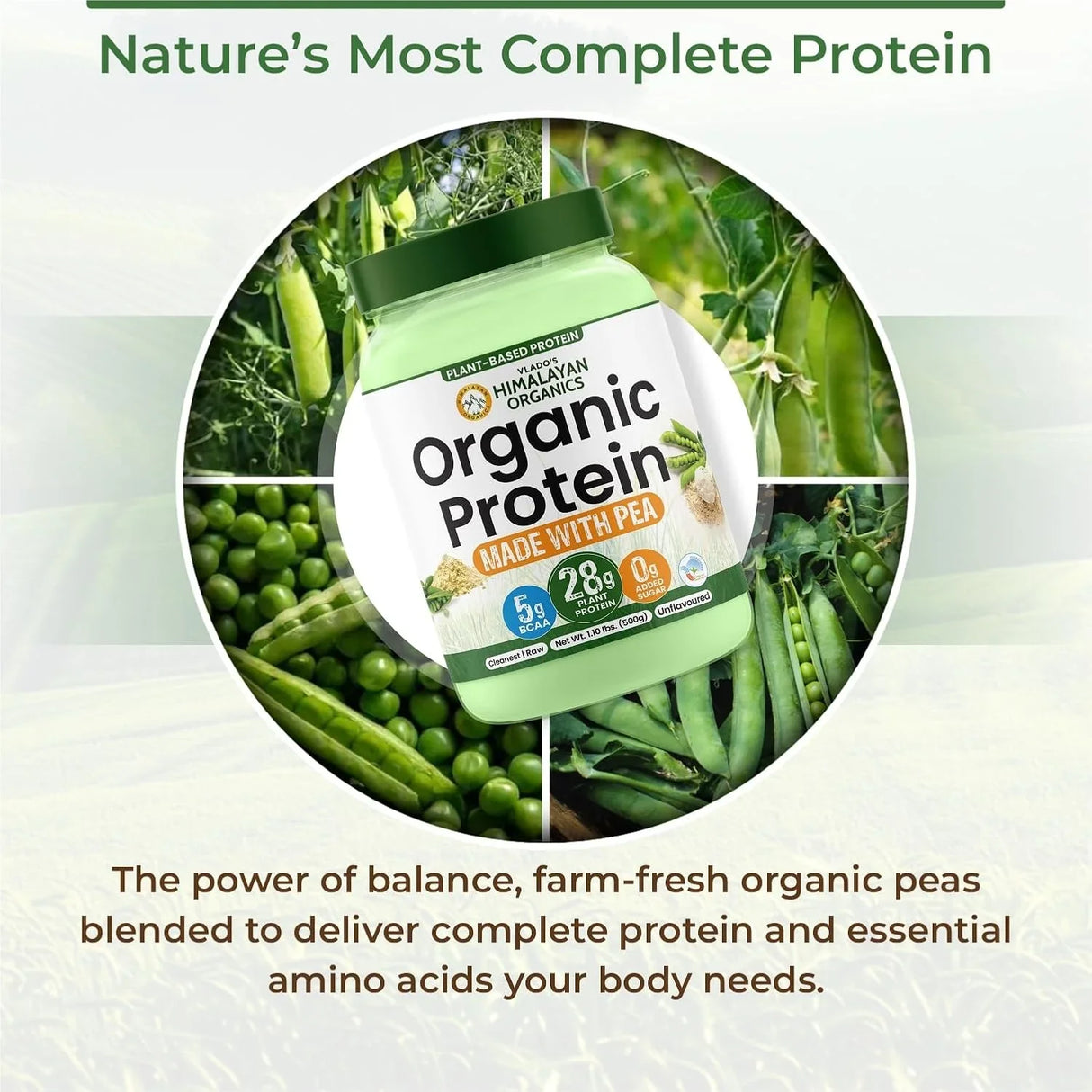 Vlado's Himalayan Organics, Organic Plant Protein, 28g Protein, 5g BCAA - 500g