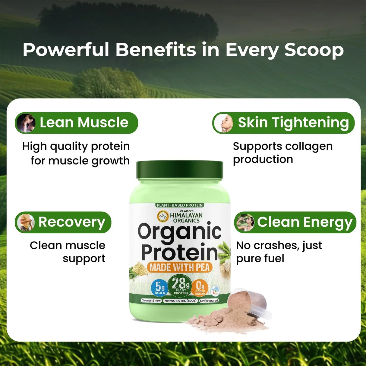 Vlado's Himalayan Organics, Organic Plant Protein, 28g Protein, 5g BCAA - 500g