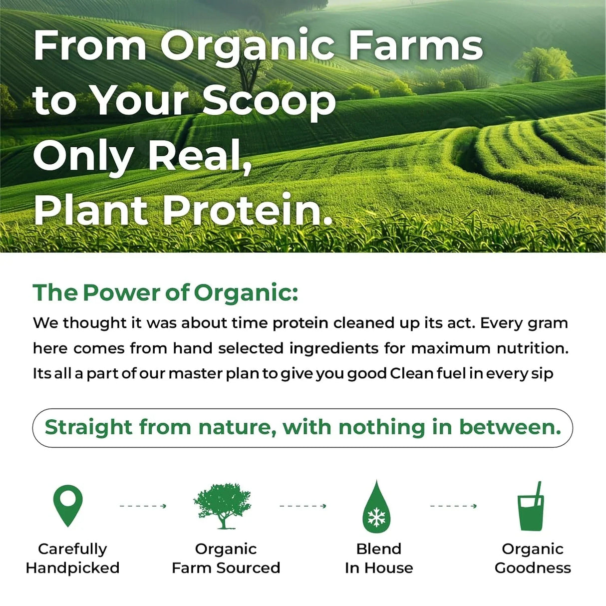 Vlado's Himalayan Organics, Organic Plant Protein, 28g Protein, 5g BCAA - 500g