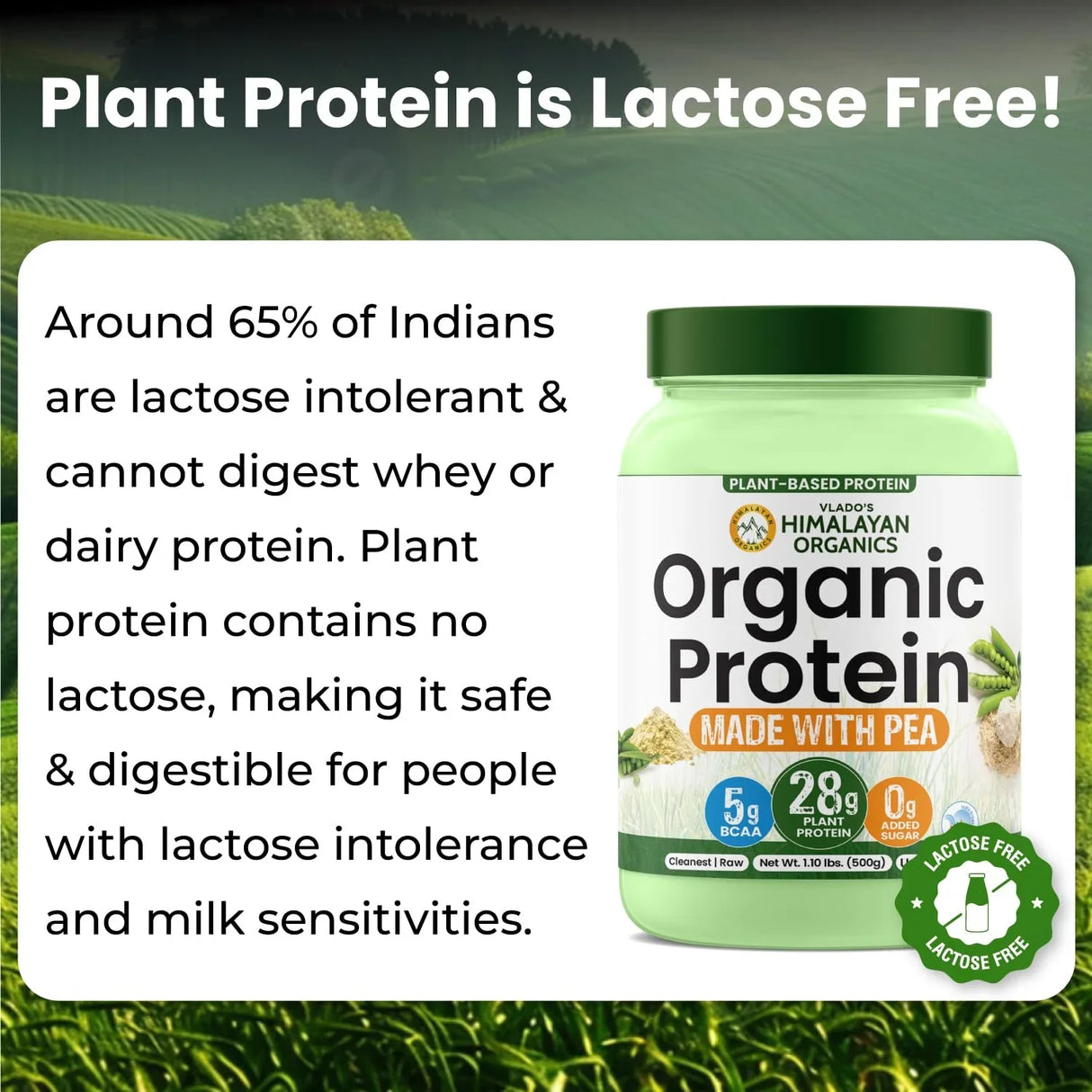 Vlado's Himalayan Organics, Organic Plant Protein, 28g Protein, 5g BCAA - 500g