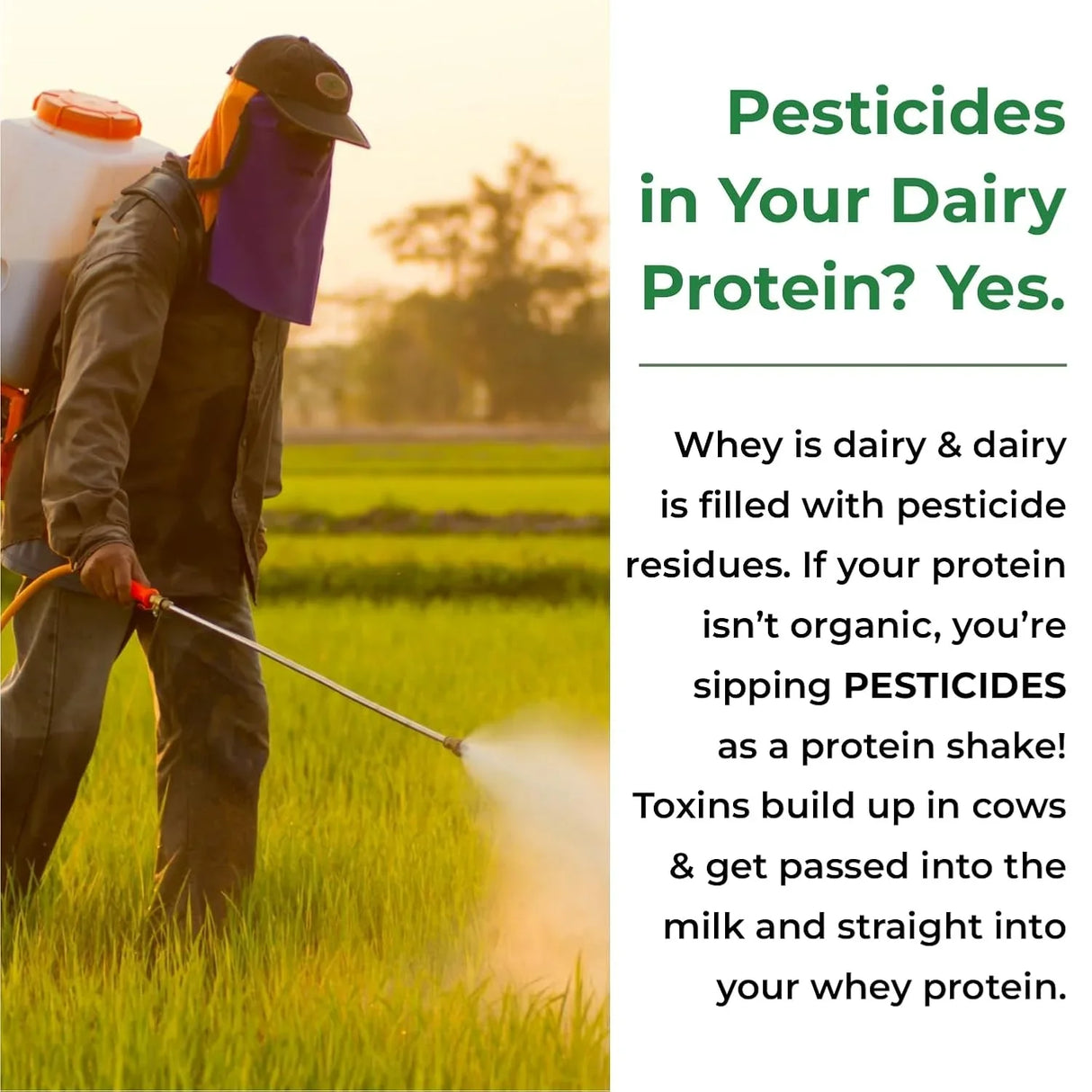 Vlado's Himalayan Organics, Organic Plant Protein, 28g Protein, 5g BCAA - 500g