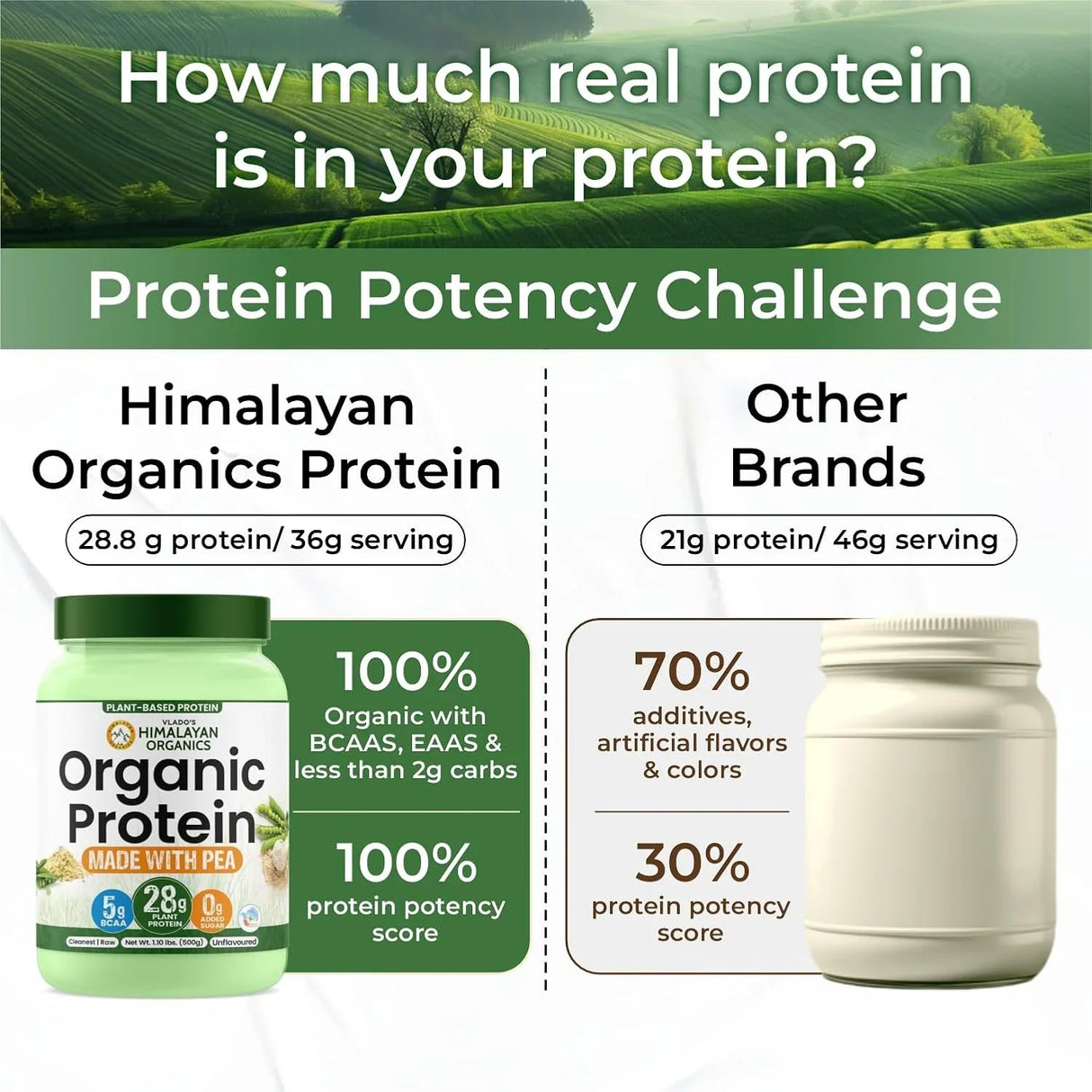 Vlado's Himalayan Organics, Organic Plant Protein, 28g Protein, 5g BCAA - 500g