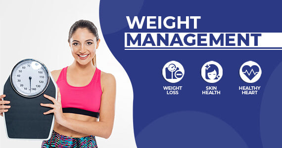 nutristar image