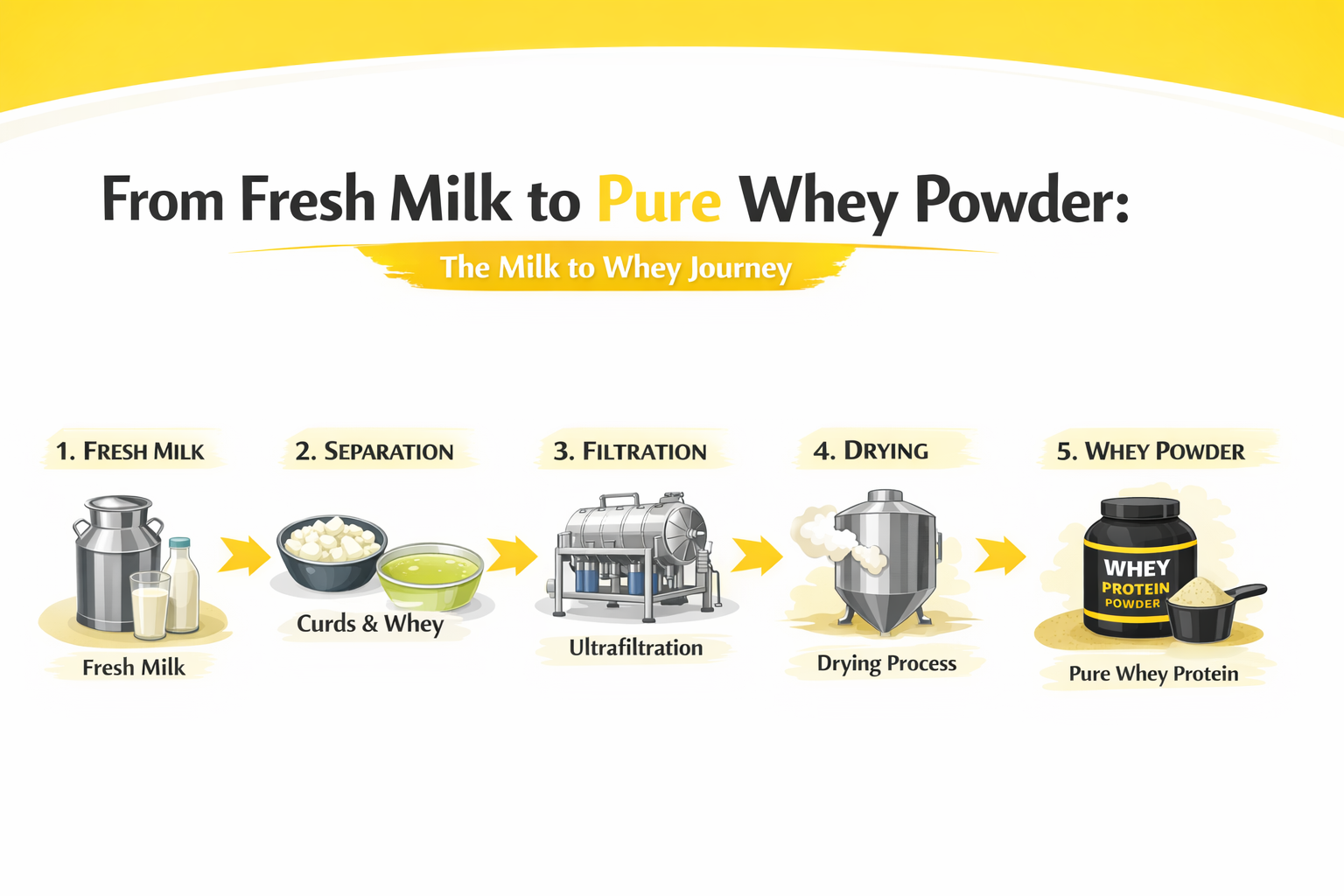 Whey Protein Explained: Benefits, Dosage, Myths & Best Time to Take It