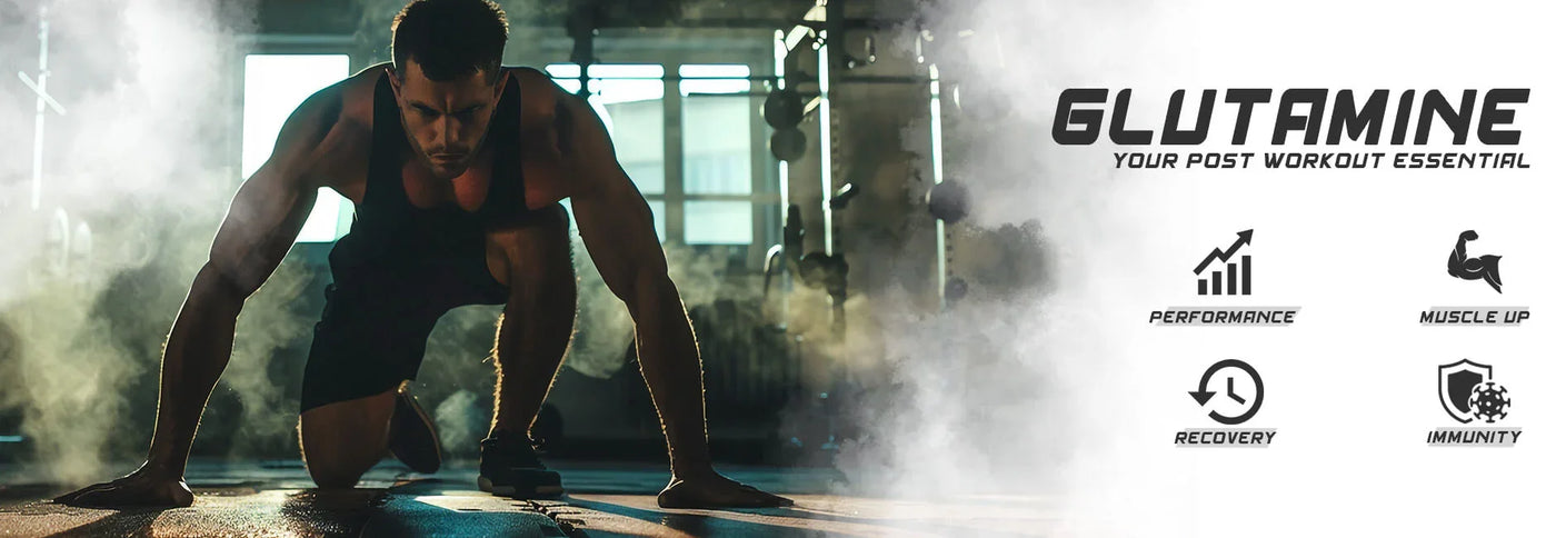Glutamines - Nutristar