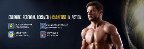 L-Carnitine - Nutristar