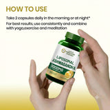 Vlado's Himalayan Organics Liposomal Ashwagandha 1000mg | Energy & Endurance | 60 Veg Capsules