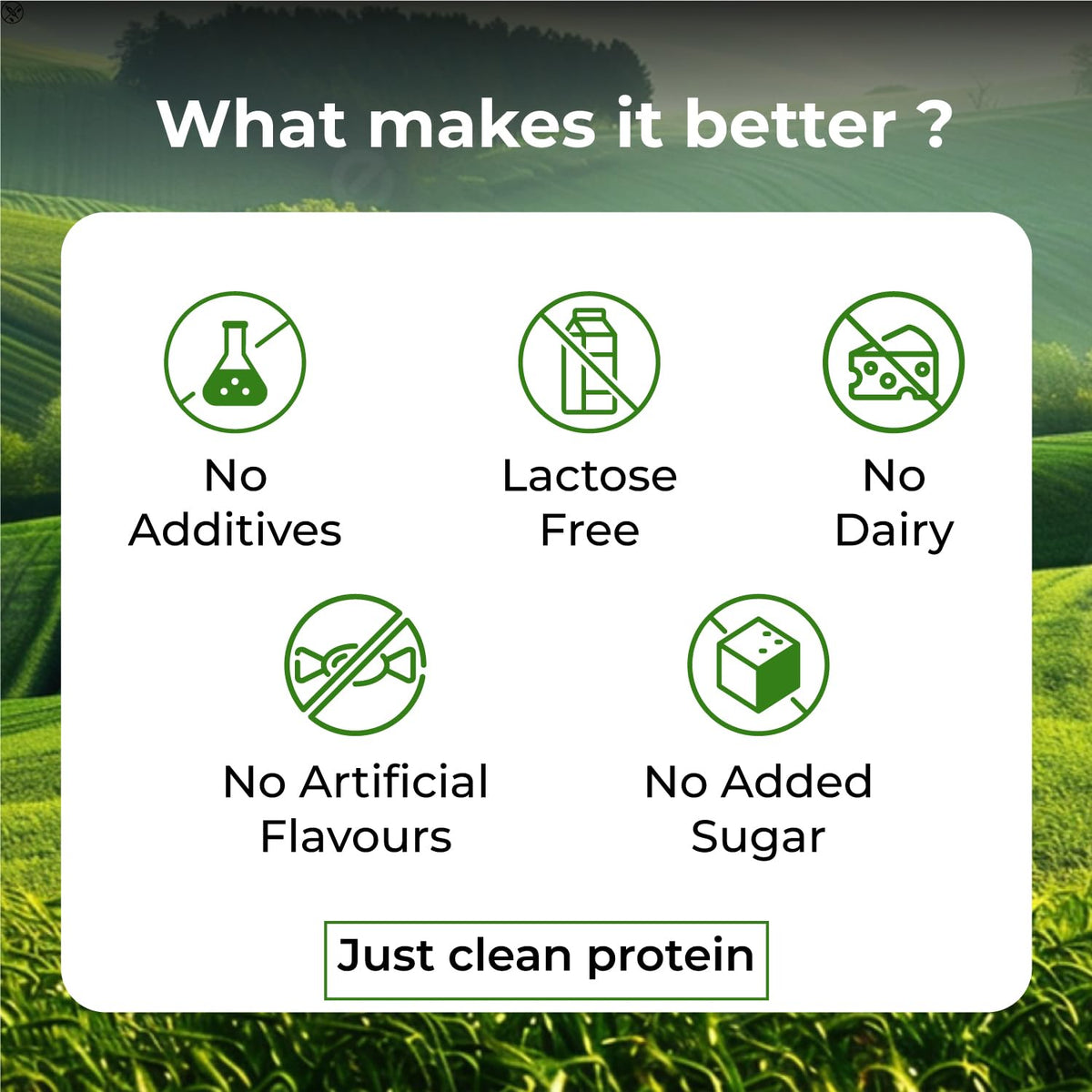 Vlado's Himalayan Organics, Organic Plant Protein, 28g Protein, 5g BCAA - 500g