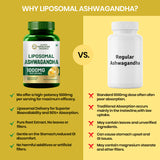 Vlado's Himalayan Organics Liposomal Ashwagandha 1000mg | Energy & Endurance | 60 Veg Capsules