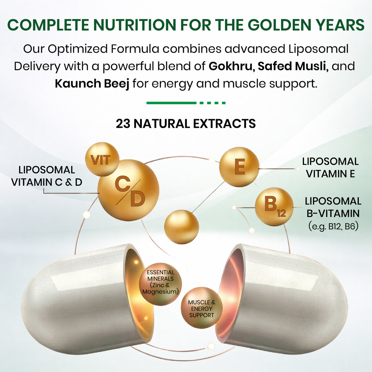 Himalayan Organics Liposomal Multivitamin 50+ | 60 Veg Capsules | Energy, Immunity & Overall Health Support