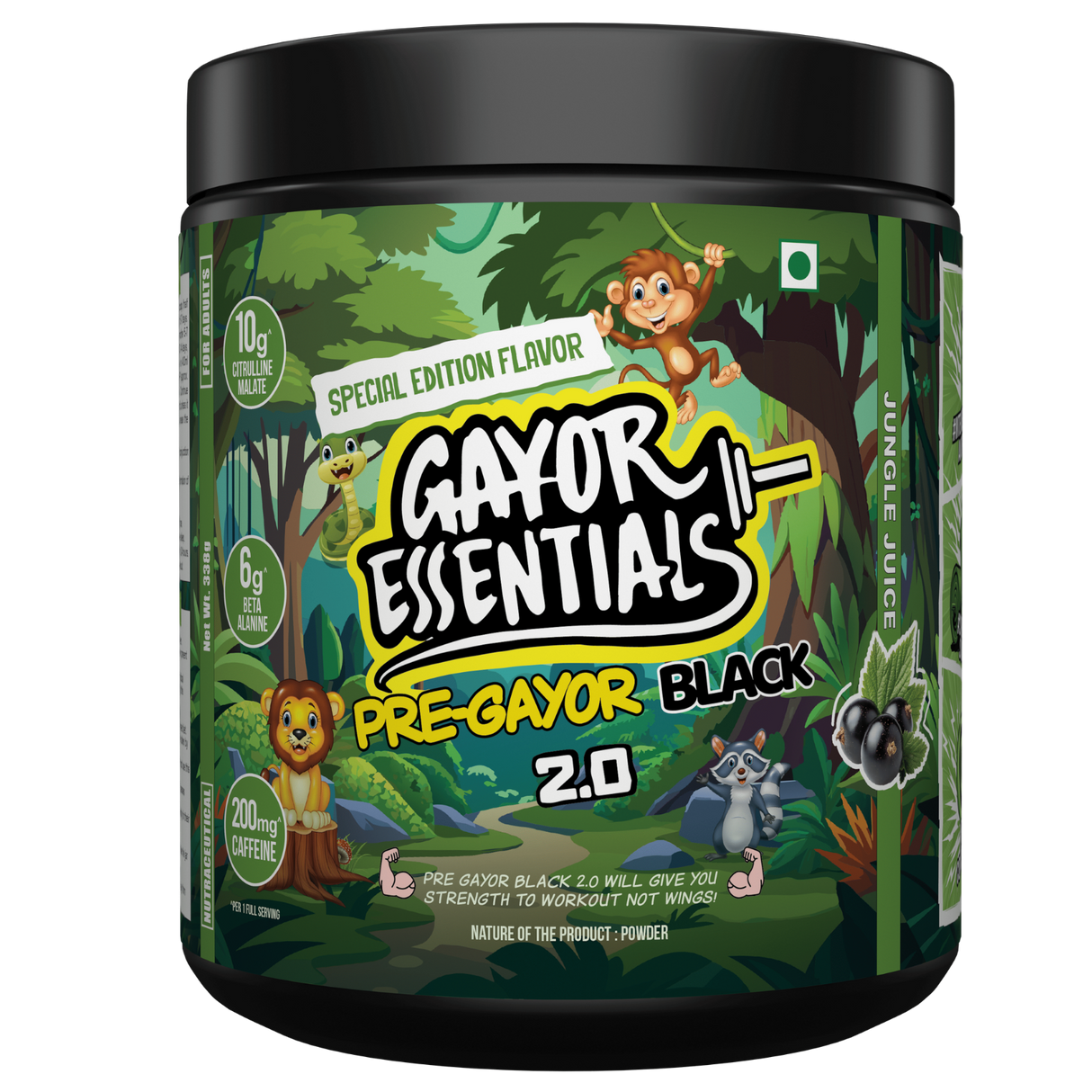 Gayor Essentials Pre Gayor Black 2.0 Pre-Workout Powder 338g | 200mg Caffeine