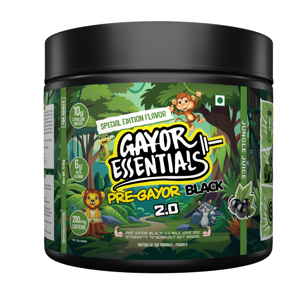 Gayor Essentials Pre Gayor Black 2.0 Pre-Workout Powder 676g | 200mg Caffeine