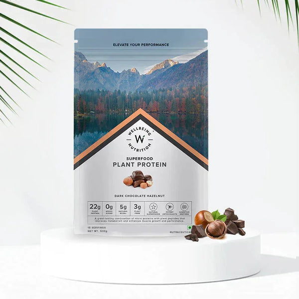 Wellbeing Nutrition Plant Protein 500 Gm