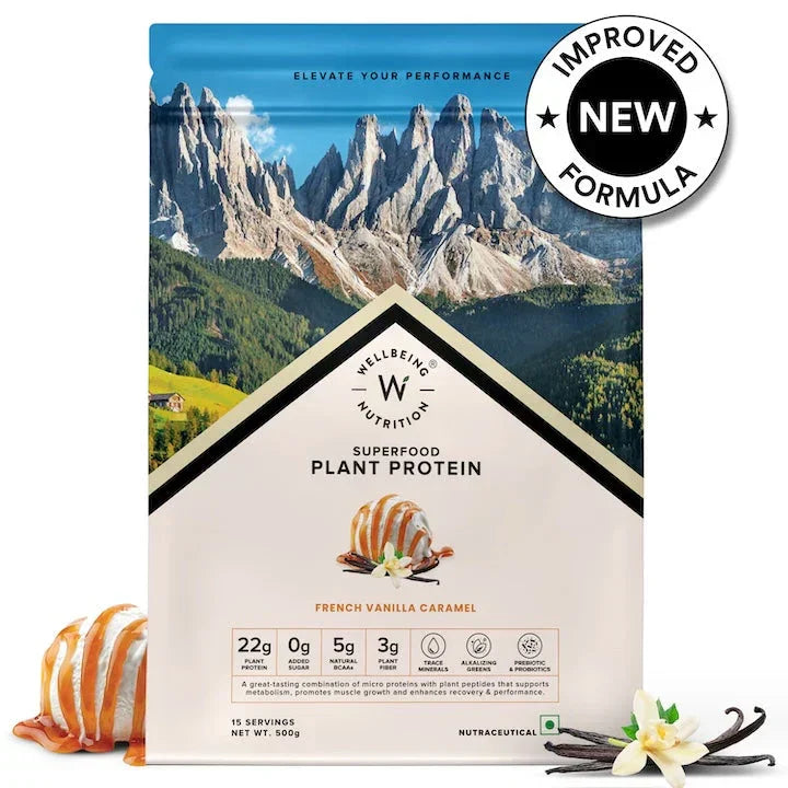 Wellbeing Nutrition Plant Protein 500 Gm