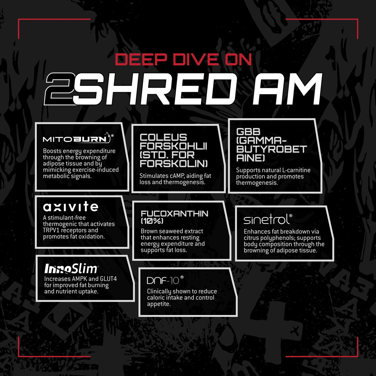 Unmatched 2 Shred, 180 Capsules (30-Day Supply)