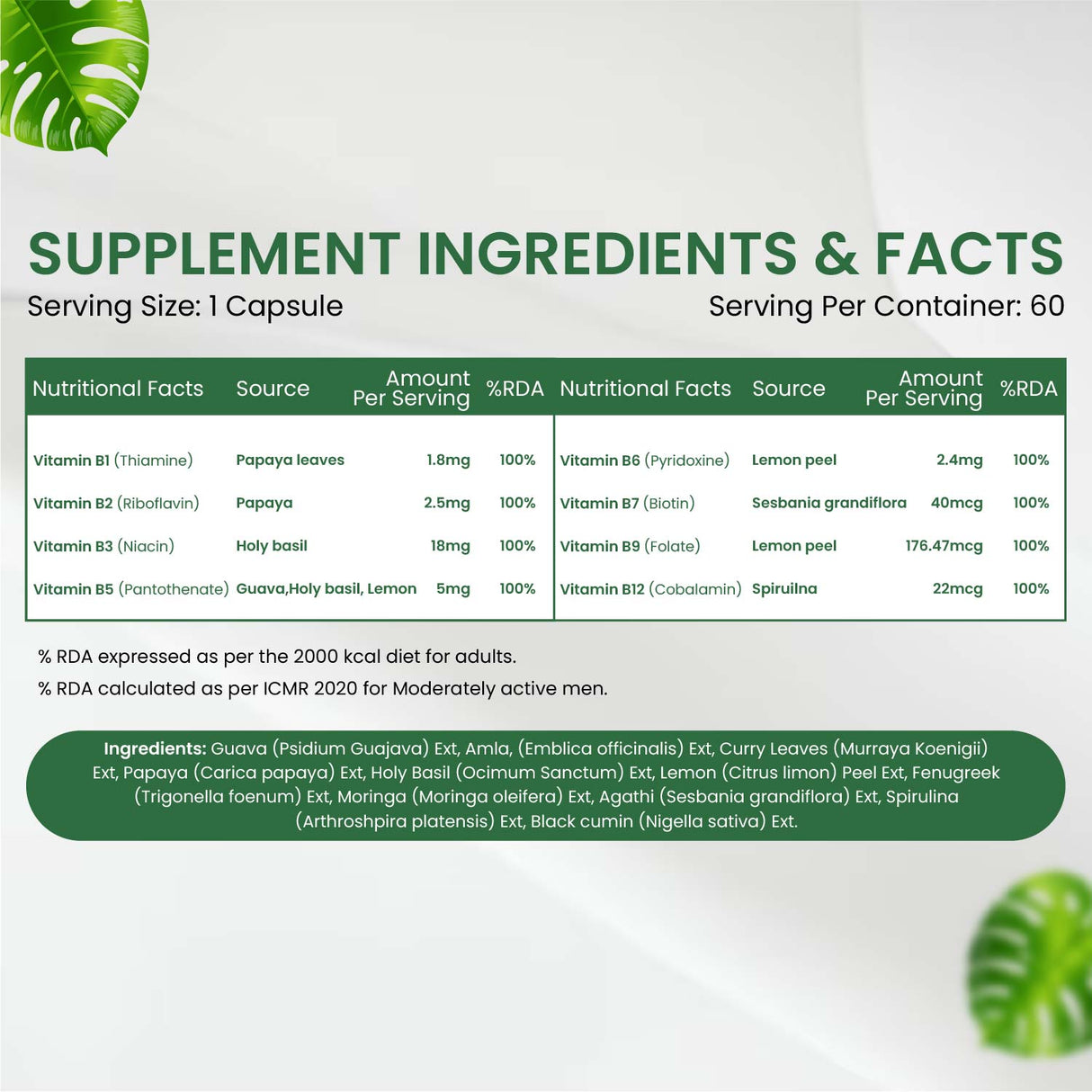 Vlado's Himalayan Organics, Plant Based Vitamin B Complex, 100% RDA - 60 Capsules