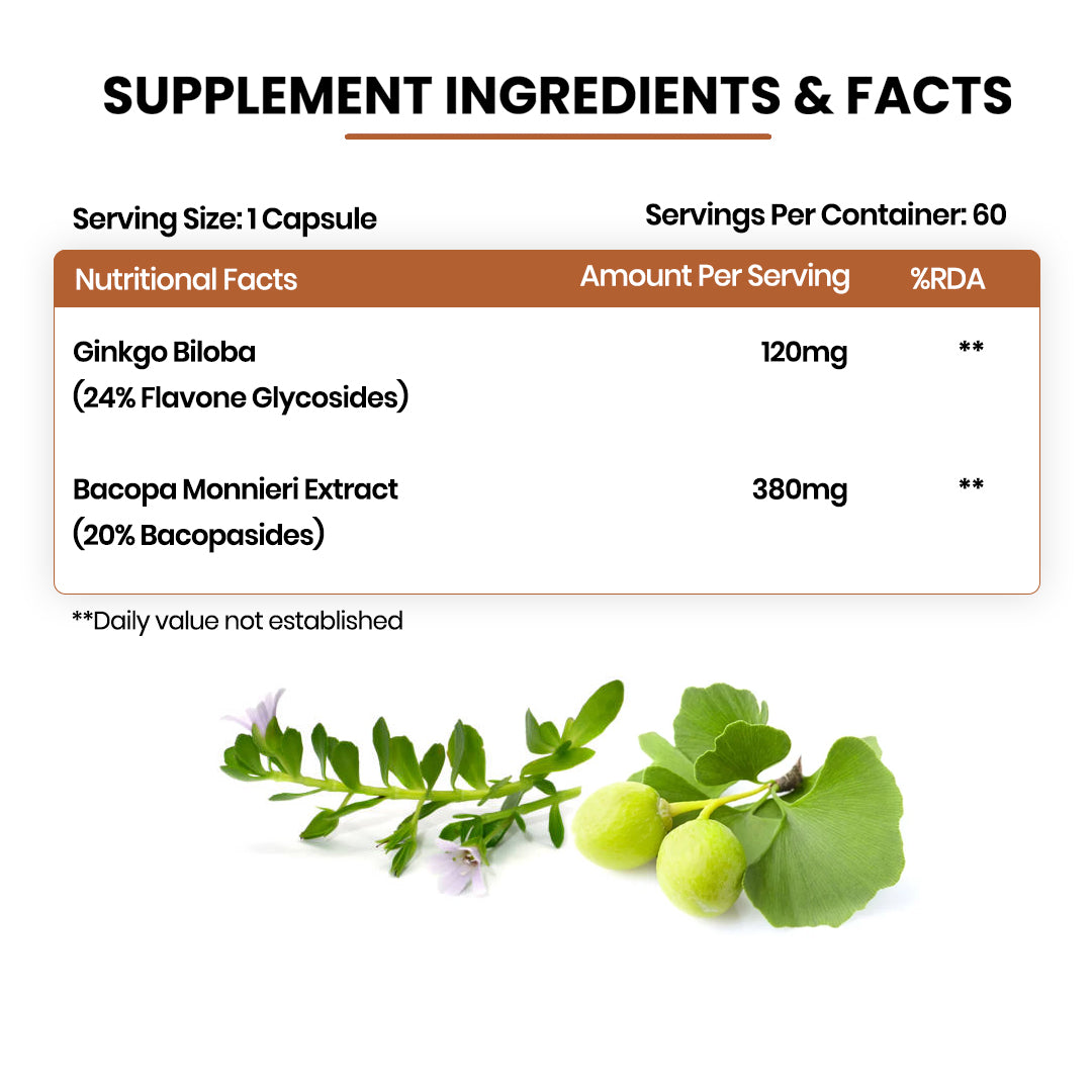 Vlado's Himalayan Organics, Ginkgo Biloba with Brahmi, 500mg - 60 Veg Capsules