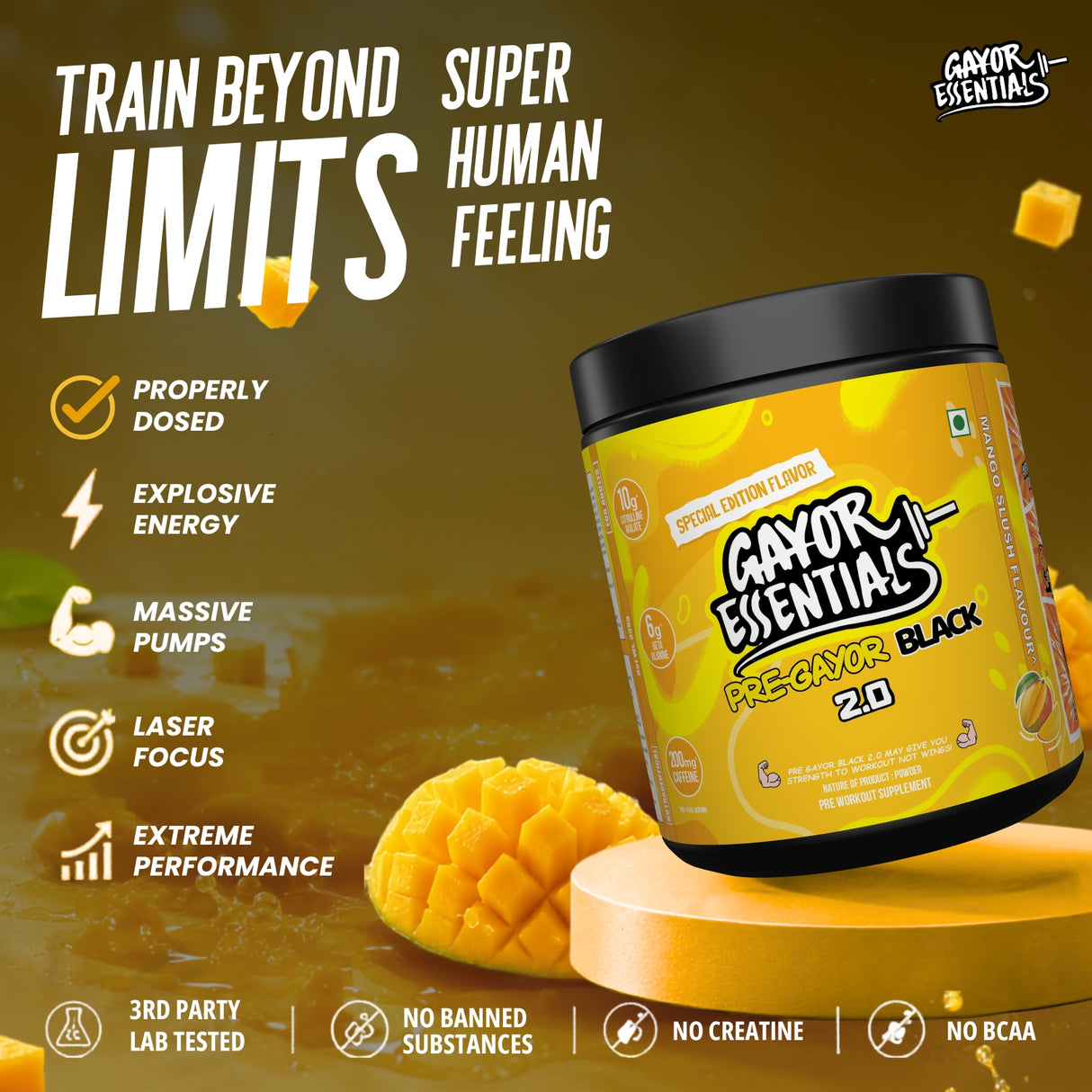 Gayor Essentials Pre Gayor Black 2.0 Pre-Workout Powder 338g | 200mg Caffeine