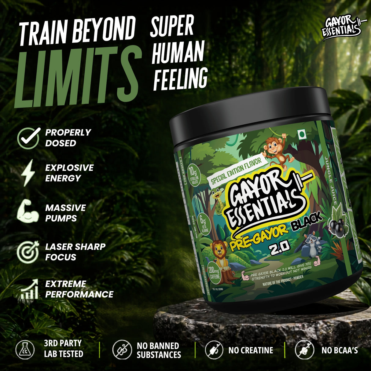 Gayor Essentials Pre Gayor Black 2.0 Pre-Workout Powder 338g | 200mg Caffeine