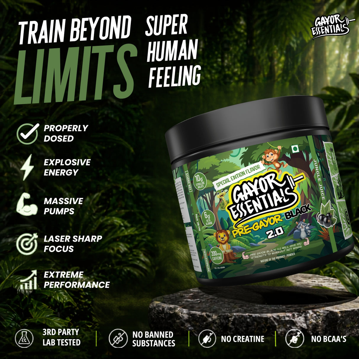 Gayor Essentials Pre Gayor Black 2.0 Pre-Workout Powder 676g | 200mg Caffeine