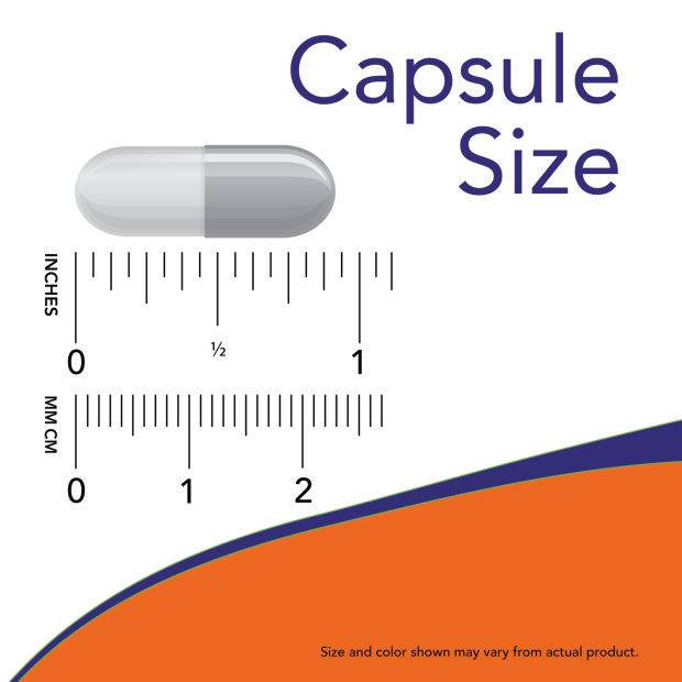 NOW Foods Alpha GPC 300mg | 60 Veg Capsules