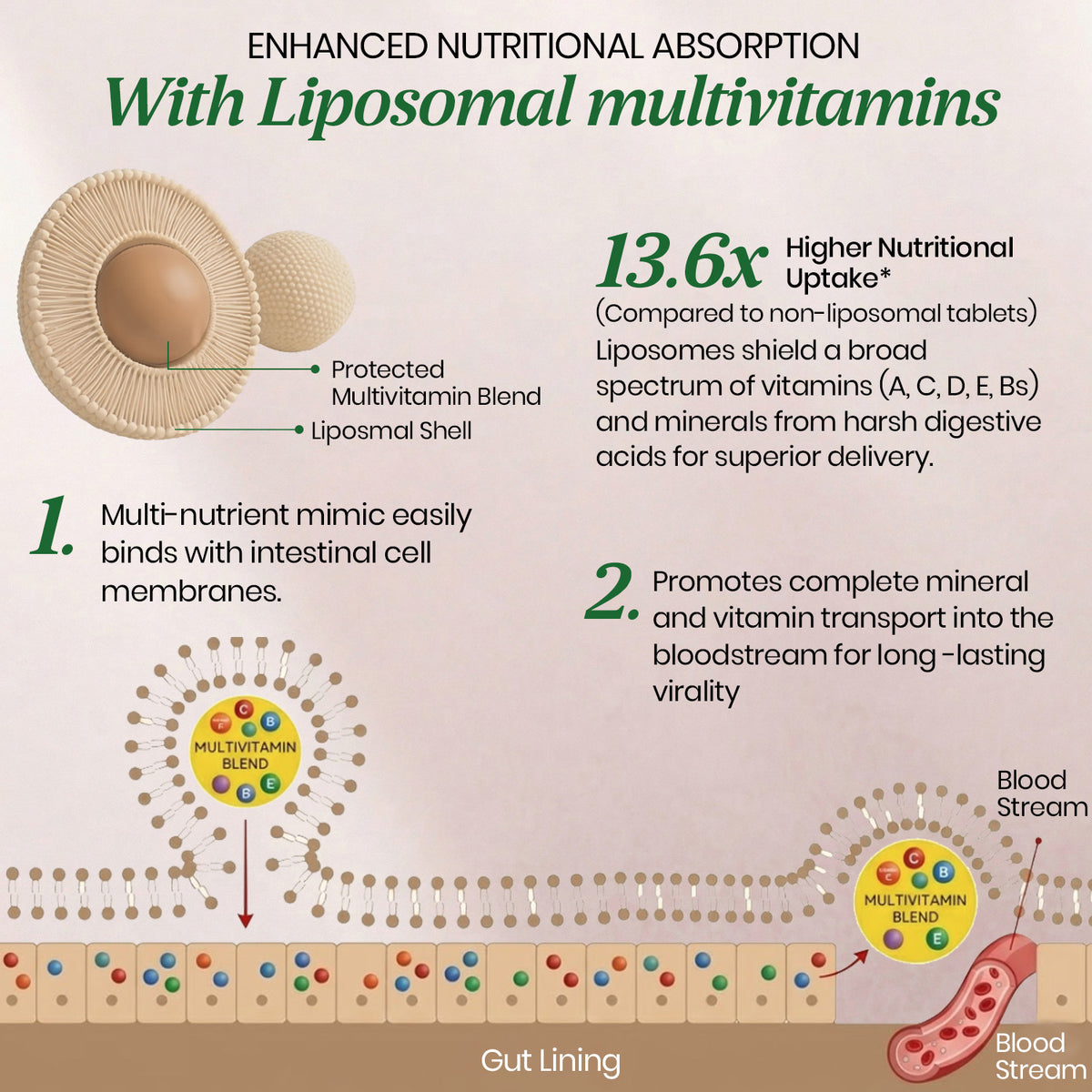 Vlado's Himalayan Organics Liposomal Multivitamin for Women | 60 Veg Capsules | Energy, Immunity, Hair Skin & Nails Support