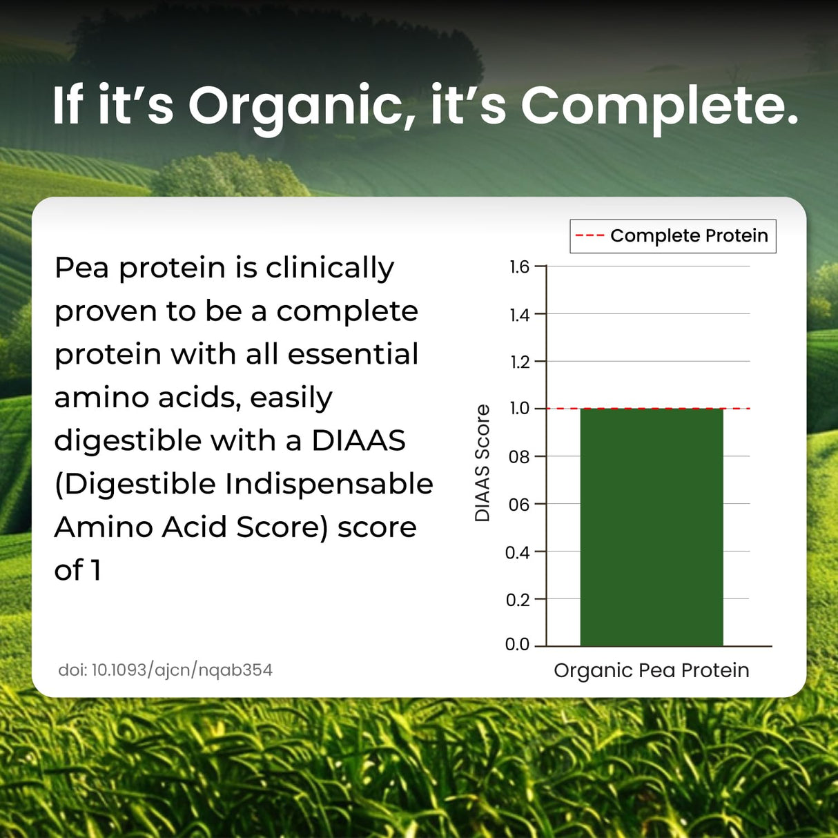 Vlado's Himalayan Organics Organic Pea Protein Powder | 28g Protein & 5g BCAA per Serving | 100% Plant-Based & Vegan | Lab Tested | Fast Absorbing, Easy to Digest | Supports Muscle Recovery | Unflavoured | 600g