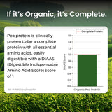 Vlado's Himalayan Organics Organic Pea Protein Powder | 28g Protein & 5g BCAA per Serving | 100% Plant-Based & Vegan | Lab Tested | Fast Absorbing, Easy to Digest | Supports Muscle Recovery | Unflavoured | 600g