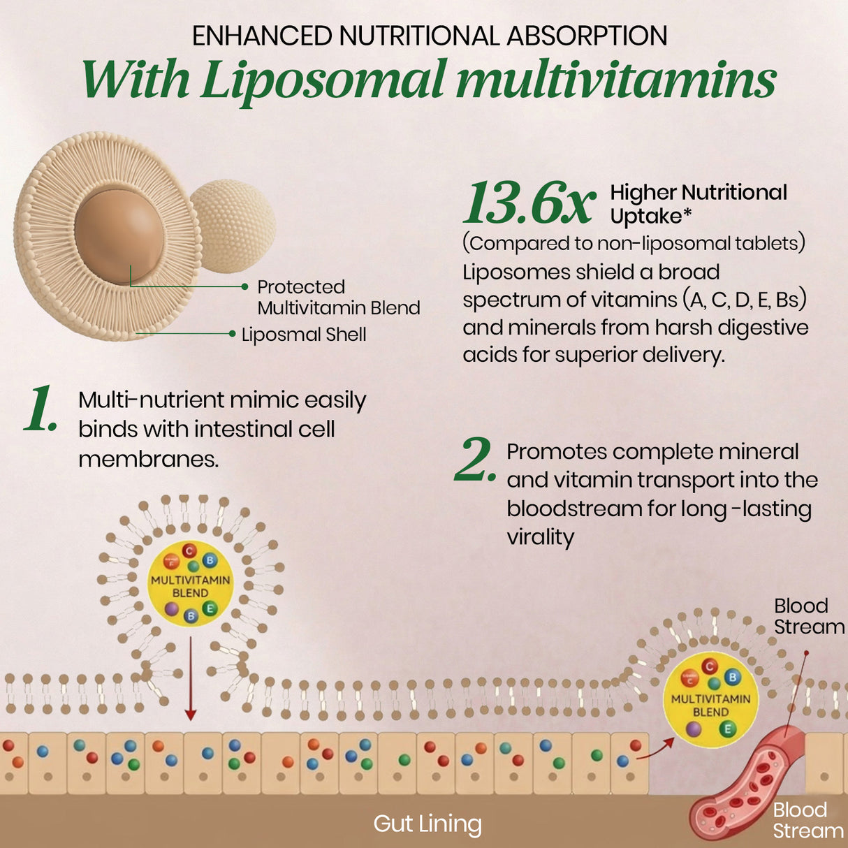 Vlado's Himalayan Organics Liposomal Multivitamin for Women | 60 Veg Capsules | Energy, Immunity, Hair Skin & Nails Support