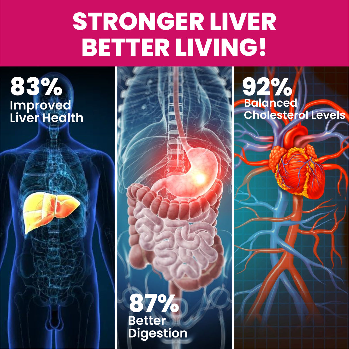 Vlado's Himalayan Organics, Milk Thistle Extract, 800mg - 120 Veg Tablets