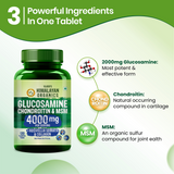 Vlado's Himalayan Organics Glucosamine Chondroitin MSM Tablets - Joint Support Supplement | 120 Vegetarian Tablets