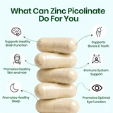 Vlado's Himalayan Organics Zinc Picolinate with Vitamin C & Copper | 120 Capsules | Immunity Support