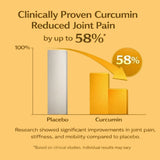 Vlado's Himalayan Organics Curcumin 1600mg with Piperine | 60 Capsules | Joint Support Supplement