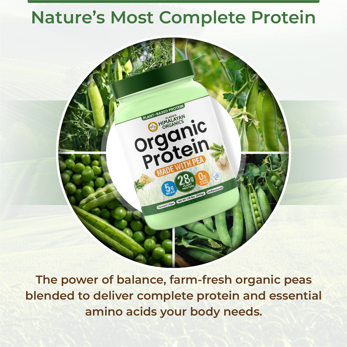 Vlado's Himalayan Organics, Organic Plant Protein, 28g Protein, 5g BCAA - 500g