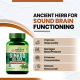 Vlado's Himalayan Organics, Ginkgo Biloba with Brahmi, 500mg - 60 Veg Capsules