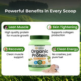 Vlado's Himalayan Organics Organic Pea Protein Powder | 28g Protein & 5g BCAA per Serving | 100% Plant-Based & Vegan | Lab Tested | Fast Absorbing, Easy to Digest | Supports Muscle Recovery | Unflavoured | 600g
