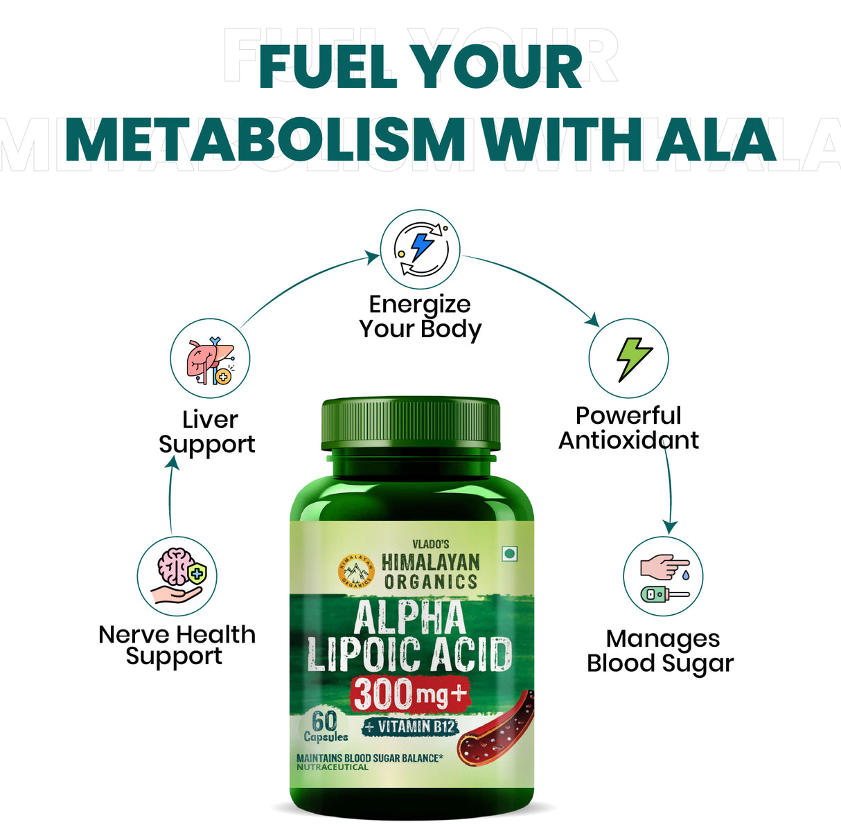 Vlado's Himalayan Organics, Alpha Lipoic Acid, 300mg - 60 Veg Capsules