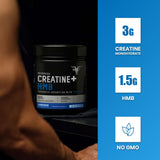 Bolt Nutrition Micronized Creatine + HMB Supplement Powder 150g | 30 Servings