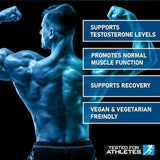 Applied Nutrition ZMA Pro | Zinc, Magnesium, Vitamin B6 & Ashwagandha | 90 Capsules (30 Servings)