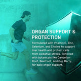Applied Nutrition Organ Shield Powder 300g | 30 Servings