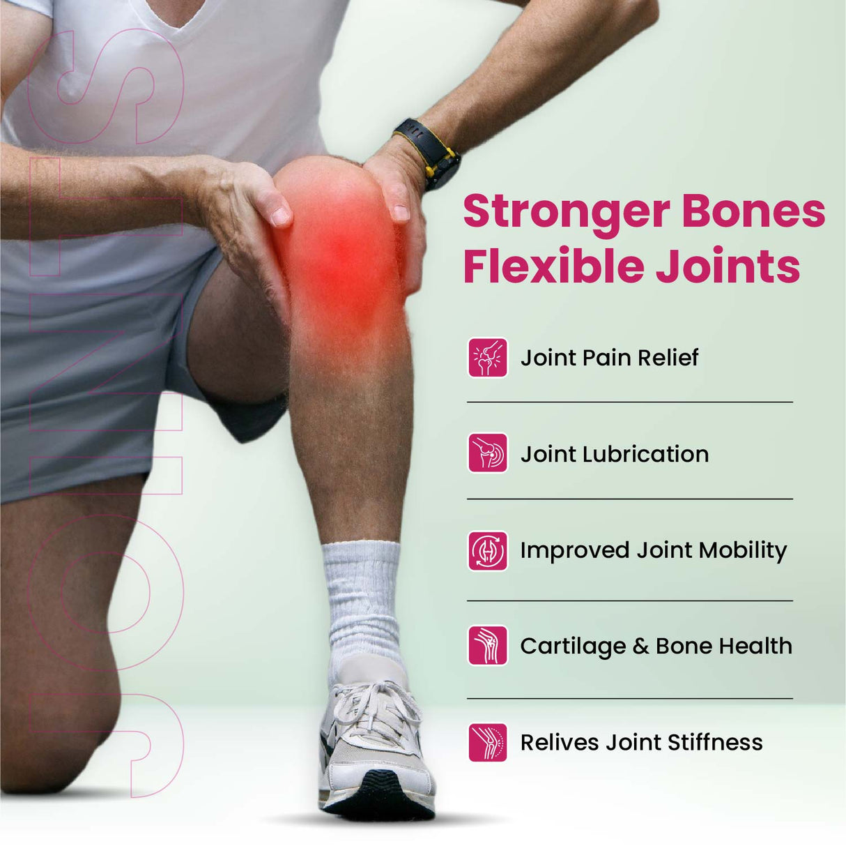 Vlado's Himalayan Organics, Plant Based Joint Support with Boswellia Ashwagandha - 60 Veg Tablets