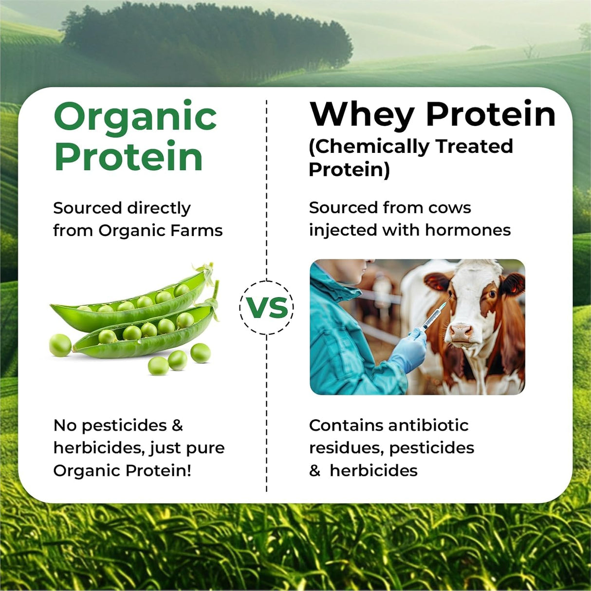 Vlado's Himalayan Organics Organic Pea Protein Powder | 28g Protein & 5g BCAA per Serving | 100% Plant-Based & Vegan | Lab Tested | Fast Absorbing, Easy to Digest | Supports Muscle Recovery | Unflavoured | 600g