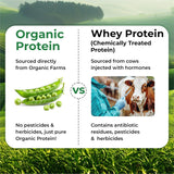 Vlado's Himalayan Organics Organic Pea Protein Powder | 28g Protein & 5g BCAA per Serving | 100% Plant-Based & Vegan | Lab Tested | Fast Absorbing, Easy to Digest | Supports Muscle Recovery | Unflavoured | 600g