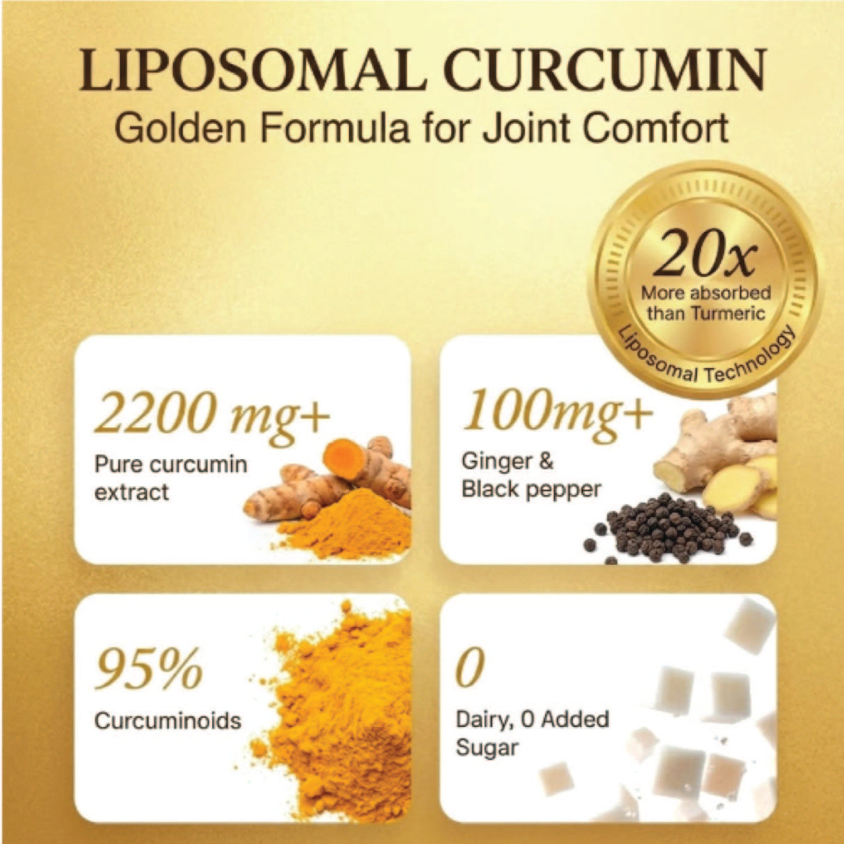 Vlado's Himalayan Organics Liposomal Curcumin Tablets 2200mg+ per Serving with Black Pepper (Piperine & BioPerine) | 95% Curcuminoids | Curcuma Longa, Turmeric & Ginger Root Extract | Supplement for Men & Women | 60 Veg Tablets