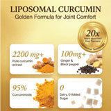 Vlado's Himalayan Organics Liposomal Curcumin Tablets 2200mg+ per Serving with Black Pepper (Piperine & BioPerine) | 95% Curcuminoids | Curcuma Longa, Turmeric & Ginger Root Extract | Supplement for Men & Women | 60 Veg Tablets